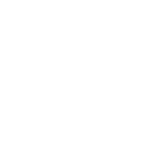 HEAD OF MEDIA DEPARTMENT 
RAY MEDIA / LEBANON & UAE